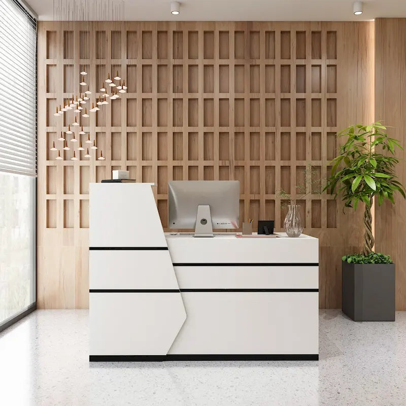 FUFU&GAGA 1-Drawer Reception Computer desk With one Door