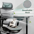 High Back Ergonomic Office Chair with Wire Control Mechanism – No Footrest