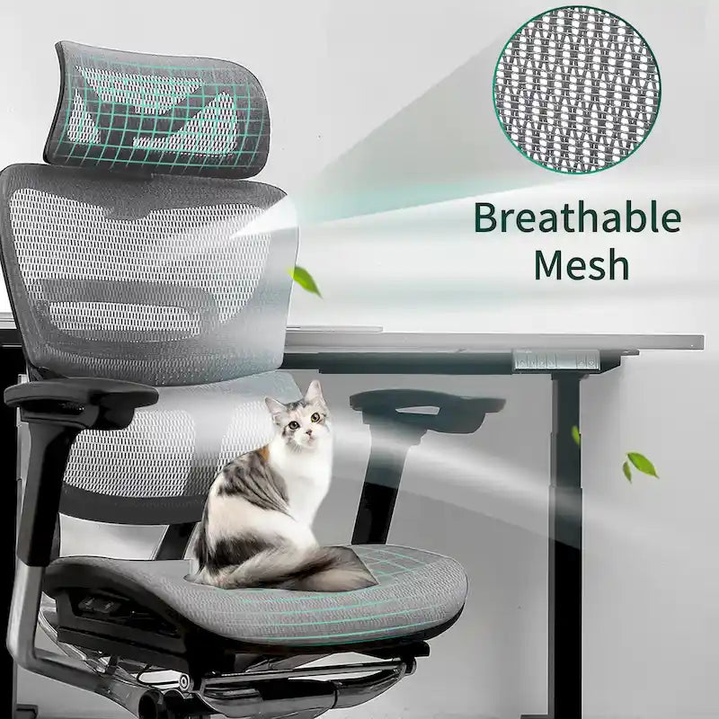 High Back Ergonomic Office Chair with Wire Control Mechanism – No Footrest