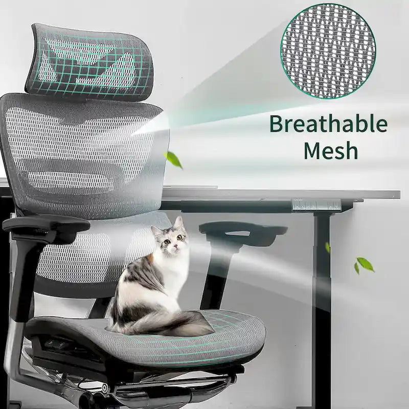 High Back Ergonomic Office Chair with Wire Control Mechanism – No Footrest