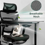 High Back Ergonomic Office Chair with Wire Control Mechanism – No Footrest