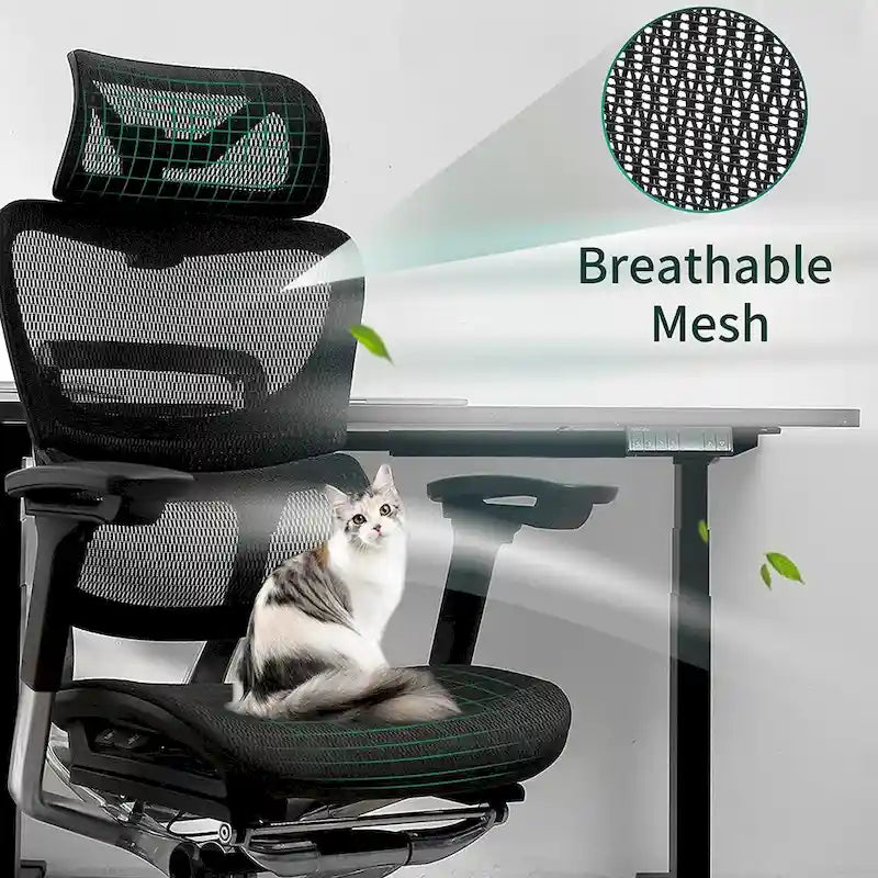 High Back Ergonomic Office Chair with Wire Control Mechanism – No Footrest